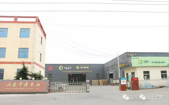 安室美惠板材，等待你發(fā)現(xiàn)的美