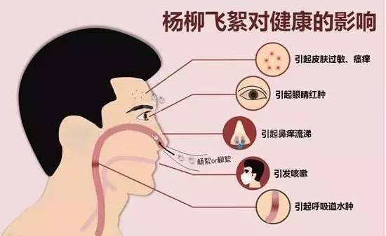 柳絮過敏讓你鼻子發(fā)癢，空氣堡新風系統(tǒng)讓你舒爽