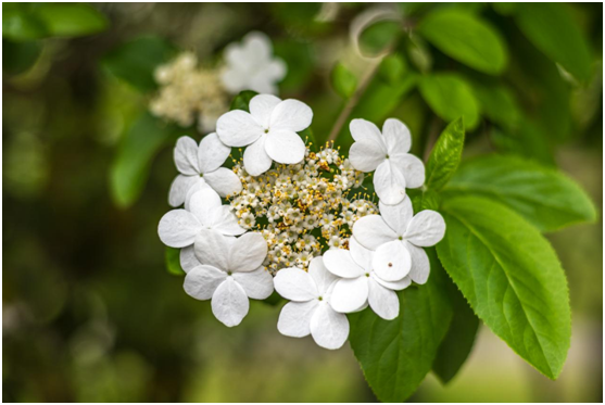 美特照明:與您細(xì)賞燈影里的春暖花開(kāi)